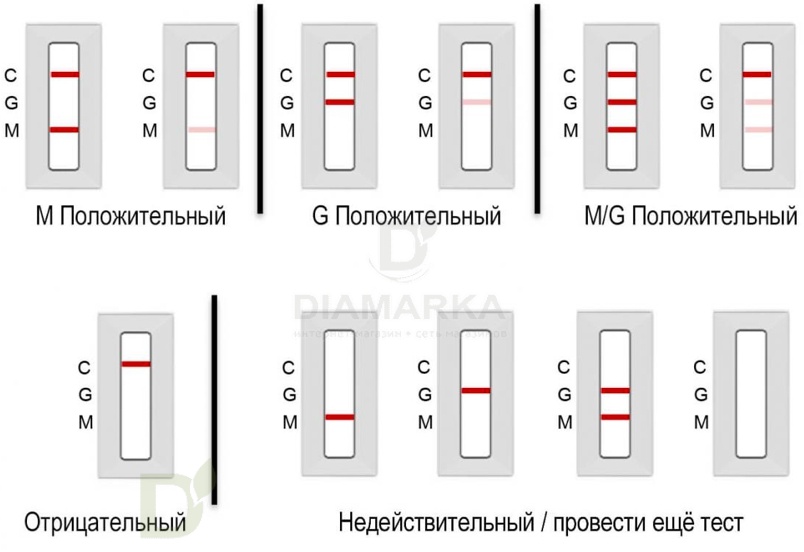 Тесты Sugentech SGTi-flex COVID-19 IgM/IgG