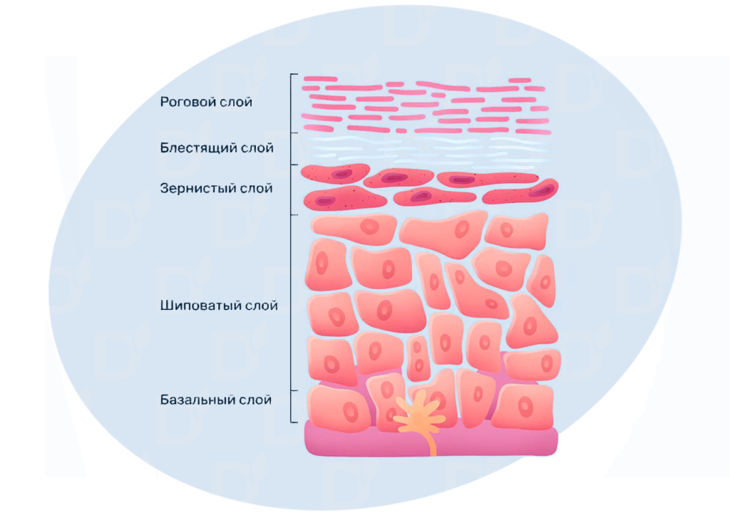 БЛОГ-05-01.png БЛОГ-05-01.png